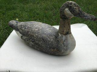 Rare Factory Duck Decoy,  Gundelfinger Canadian Goose Decoy,  1925 - 1929 10