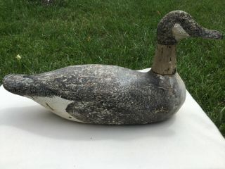 Rare Factory Duck Decoy,  Gundelfinger Canadian Goose Decoy,  1925 - 1929