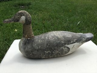 Rare Factory Duck Decoy,  Gundelfinger Canadian Goose Decoy,  1925 - 1929 2
