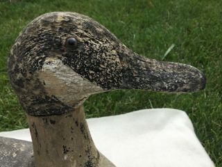 Rare Factory Duck Decoy,  Gundelfinger Canadian Goose Decoy,  1925 - 1929 4