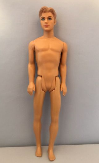 Barbie Blaine Ken Doll,  Rare Face Mold,  Blonde,  Closed Mouth,  2007