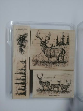 Stampin Up Noble Deer Wood Rubber Stamp Set 4 Masculine Wilderness Animal Rare