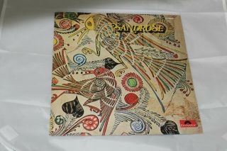 Sandrose Rare Prog 1st Press Uk Vinyl
