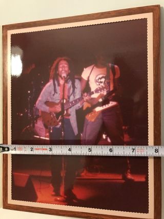 Rare 1979 Photo Bob Marley Legendary Reggae Superstar Performing