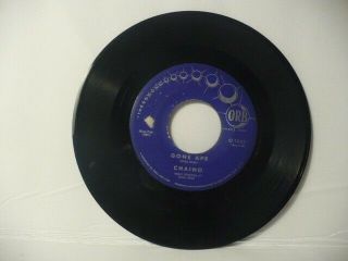 Chaino " Gone Wild " Rare Rock 45 Extremely On This Label - Orb.  1003 " Usangi " Vg,