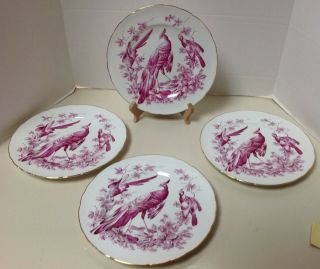 4 Pc Royal Crown Derby Iii Wild Game Pattern 10.  5 " Dinner Plates Rare