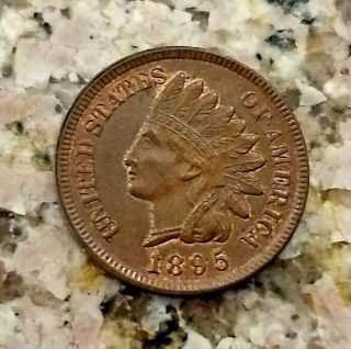 Rare 1895 U.  S Indian Head Penny Brown Br Tone Clear Sharp Detail N/r