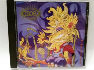 Moe.  Head Seed Cd 1994 Fatboy Music Rare