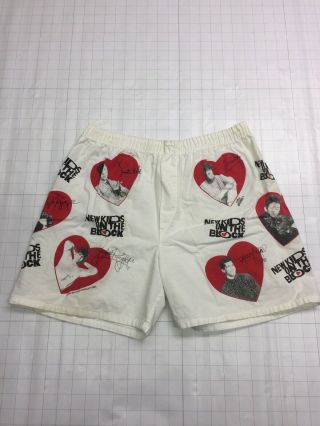 Vtg Ultra Rare ‘90 Kids On The Block 1990 Briefs/shorts - Size Large (men 