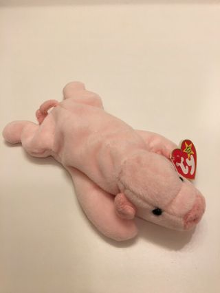 Very Rare Ty Beanie Babies Squealer The Pig Retired With Tag Errors