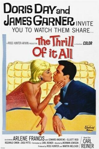The Thrill Of It All Classic Movie Poster James Garner Doris Day 24x36 Rare