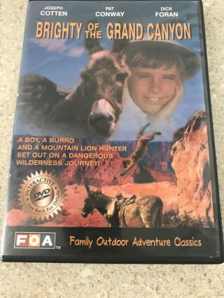Brighty Of The Grand Canyon Rare Oop