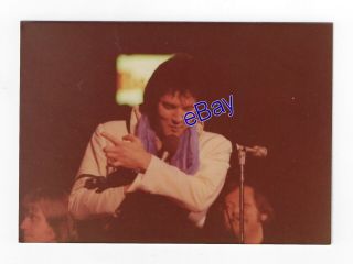 Elvis Presley Kodak Concert Photo - Close - Up 1977 - Jim Curtin Rare