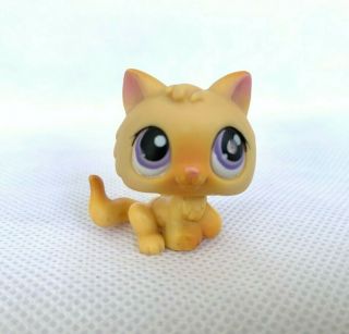 Authentic Littlest Pet Shop Kitten Baby Cat Rare Purple Eyes 248 Authentic Lps