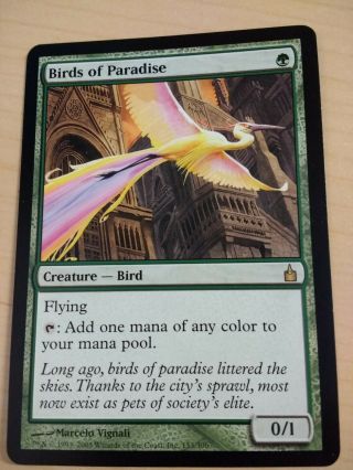 Birds Of Paradise Mtg