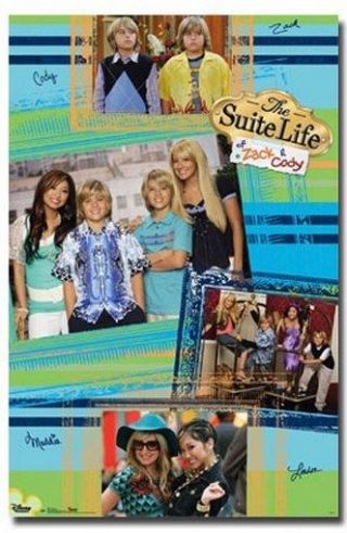 The Suite Life Of Zack & Cody Poster Collage Rare