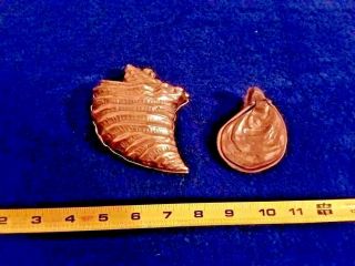 2 - Vintage Very Rare Solid Brass Hinged Conk Shell And Oyster Shell Tricket Box