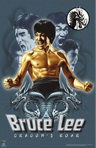 Bruce Lee Poster Dragon 