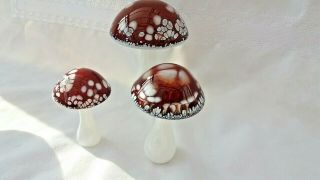 Heron Glass Rare Mushroom Set - Gift Box - Made In English Lake District