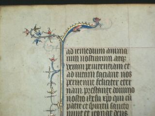 RARE Illuminated Medieval Vellum BOH Manuscript w/ TWO Dragon Miniatures,  c.  1400 4