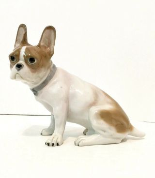 Vintage Rare Crown Mark French Bulldog/boston Terrier Porcelain Goebel Germany