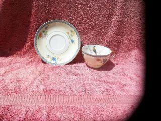 Rare Theodore Haviland Limoges Chambord Cup & Saucer Flowers & Birds - 1920 