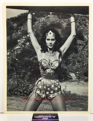 Lynda Carter Rare Vintage 8x10 Photo 1977 Wonder Woman Tv Show Headshot