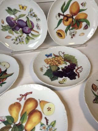 6 Six Vohenstrauss Johann Seltmann Bavaria Germany Vintage Fruit Plates Rare