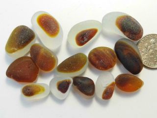 14 Multi S/m - L Amber Nut Gold 0.  9oz Jq Rare Seaham English Sea Glass