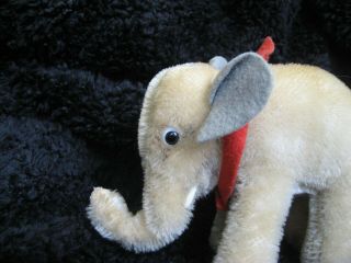 Rare 1950/78 German Steiff Elephant 8