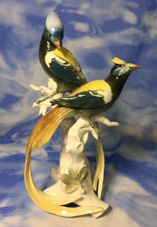 Rare Karl Ens Volkstedt " Birds Of Paradise " Glazed Porcelain Figurine Germany