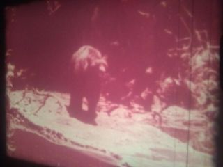 8 Film The Jungle Book (1942) RARE Sound Feature 400Fft Reels x 6 6