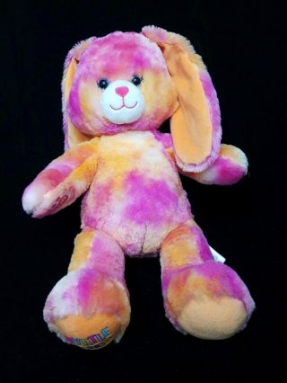 Rare Build - A - Bear Plush Bab Myrtle Beach Bunny Rabbit Hot Pink Exclusive
