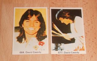 David Cassidy - 2 Rare Swedish/dutch Vintage 1970s Gum Cards Glam Pop Stars