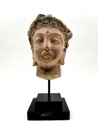 Attractive Gandhara Culture Ca.  100 Ad Stucco Head Of Buddha - Rare - R689