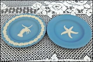 Rare 2 Blue Wedgwood Jasperware Decorative Plates Starfish & Rock Lobster Euc