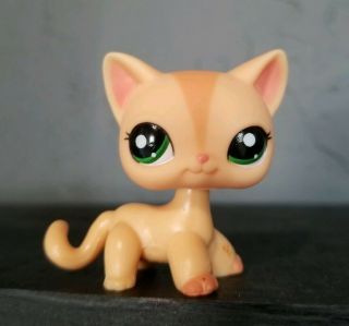 Littlest Pet Shop Lps 1764 Kitty Cat Orange Peach Shorthair Authentic Rare