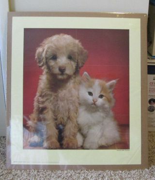 Adorable Puppy & Kitten Poster For Childs Playroom Rare Shrink Wrapped Look