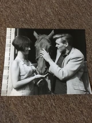 Billy Fury & Amanda Barrie - Rare 1964 Photo.