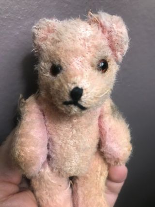 Rare Cute Antique Small Pink Bear Hard Filled Miniature Bear 4.  75” Must C No Res