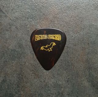 Lynyrd Skynyrd Gary Rossington Signature Brown Guitar Pick Rare 2000 Tour