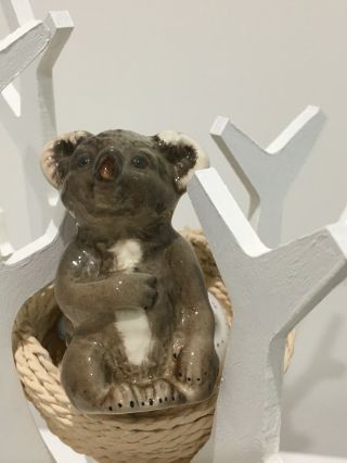 Rare Vintage Beswick Koala - Grey Gloss Model No.  1040