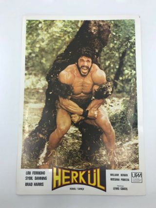Hercules - 1980s 80s - Turkish Lobby Card - Ferrigno - Ultra Rare - C7