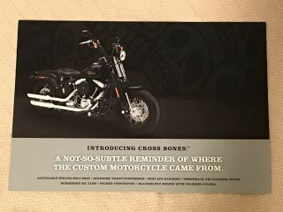 Rare 2008 Harley Davidson Cross Bones Flstsb Brochure