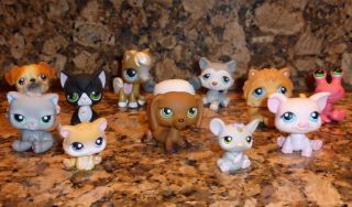 Littlest Pet Shop Rare Set Of 12 Pets With Red Magnet