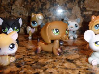 Littlest Pet Shop Rare Set of 12 Pets with Red Magnet 5