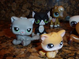 Littlest Pet Shop Rare Set of 12 Pets with Red Magnet 6