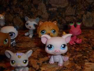 Littlest Pet Shop Rare Set of 12 Pets with Red Magnet 7