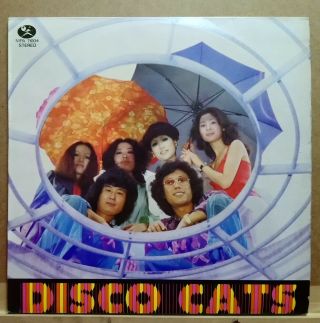 Rare Chinese Funky Disco Cats - The Wild Cats Lp 12 " 33rpm - Malaysia Singapore
