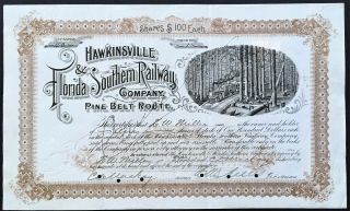Hawkinsville & Florida Southern Railway Co Stock 1889.  Georgia Timber.  Vf,  Rare